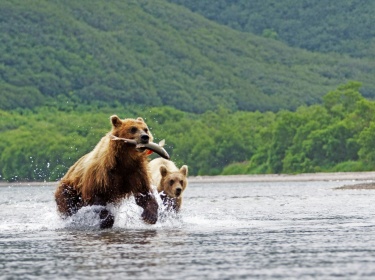 Kamchatka